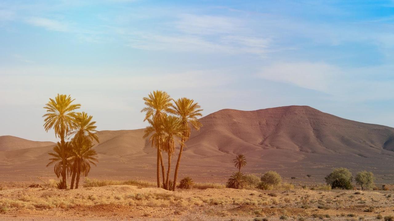 Merzouga Bohemian Camp Zewnętrze zdjęcie